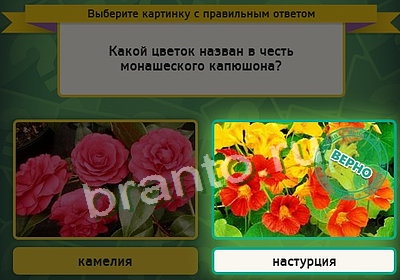 игра Выбирайка помощь Уровень 3439