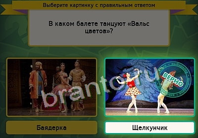 Выбирайка решения Уровень 3442