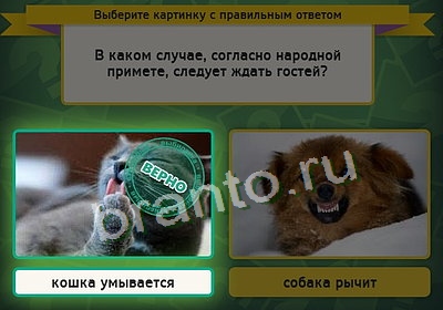 ответы на игру в одноклассниках Выбирайка Уровень 3456