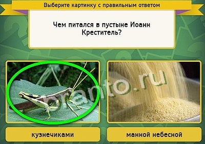Одноклассники Выбирайка ответы Уровень 3458