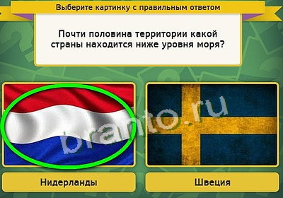 решебник на игру Выбирайка Уровень 3491