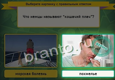 Выбирайка игра подсказки Уровень 3504