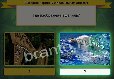 Игра Выбирайка ответы Уровень 3507