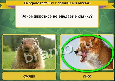 решебник на игру Выбирайка Уровень 3531