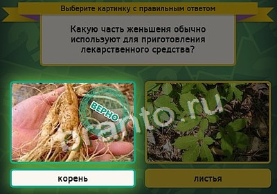 Игра Выбирайка подсказки Уровень 3588