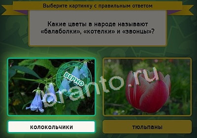 Выбирайка игра помощь Уровень 3595