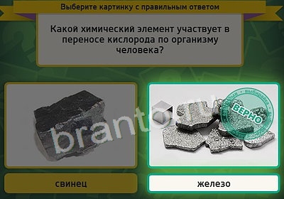 Помощь на игру ВК Выбирайка Уровень 3604