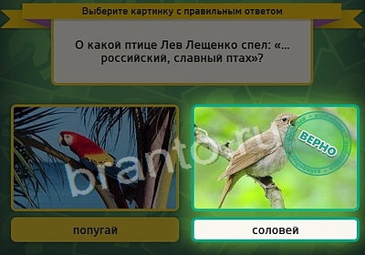 игра Выбирайка ответ на Уровень 3610