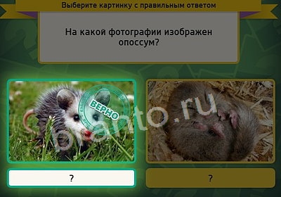 Выбирайка решения Уровень 3612