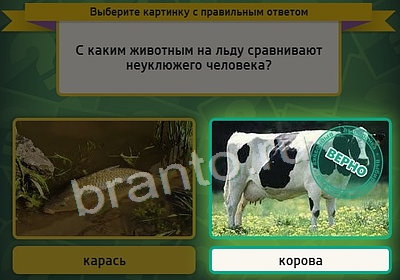 Игра Выбирайка ответы Уровень 3617