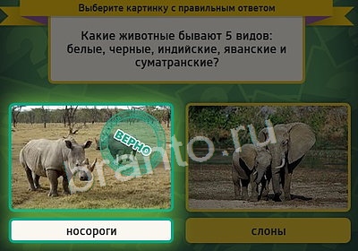 решебник на игру Выбирайка Уровень 3621