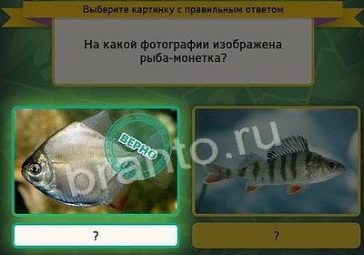 Выбирайка ответы в картинках Уровень 3626