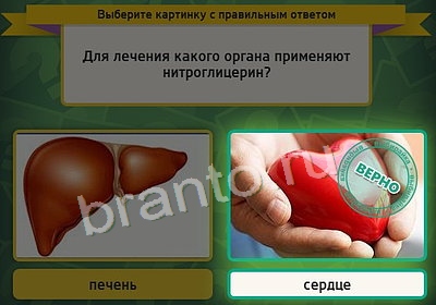 Выбирайка ответы в картинках Уровень 3646