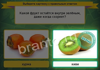 Игра Выбирайка подсказки Уровень 3648