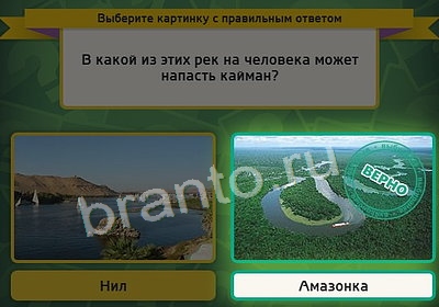 Выбирайка решения Уровень 3652