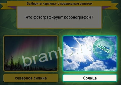 Помощь на игру ВК Выбирайка Уровень 3664