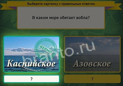 Одноклассники Выбирайка ответы Уровень 3668