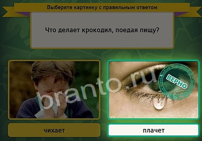 Выбирайка ответы в картинках Уровень 3686