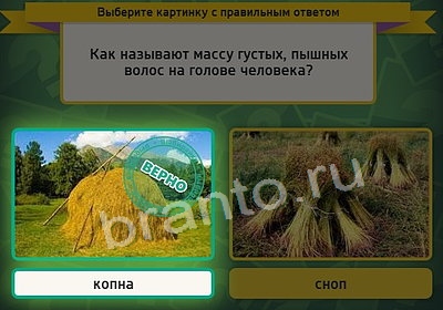 Решения на игру Выбирайка Уровень 3693