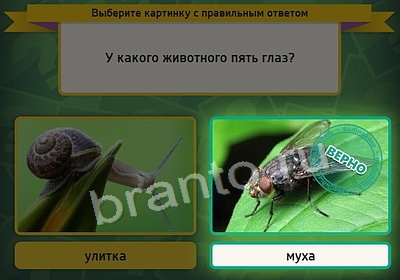 ответы к игре Выбирайка Уровень 3695