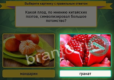 Игра Выбирайка ответы Уровень 3717