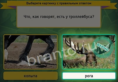 ответы на игру Выбирайка в одноклассниках Уровень 3721