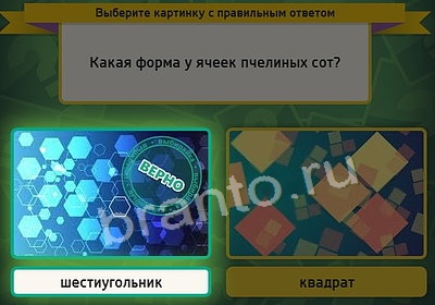 Выбирайка подсказки в контакте Уровень 3729