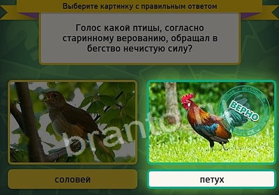 решебник на игру Выбирайка Уровень 3741