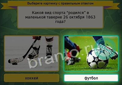 Игра Выбирайка подсказки Уровень 3748