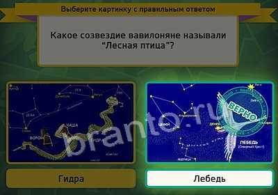 ответы к игре Выбирайка Уровень 3755