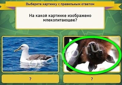 Выбирайка ответы в картинках Уровень 3766