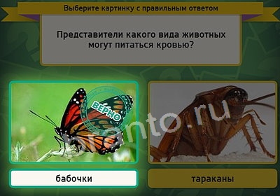 Игра Выбирайка подсказки Уровень 3768