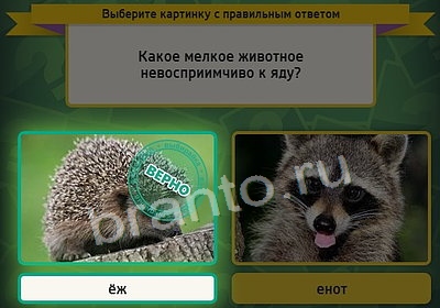 ответы на игру Выбирайка в одноклассниках Уровень 3781