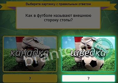 решебник на игру Выбирайка Уровень 3791