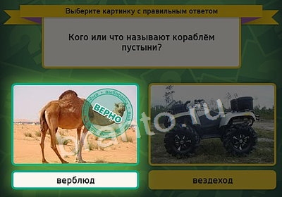 Выбирайка игра подсказки Уровень 3804