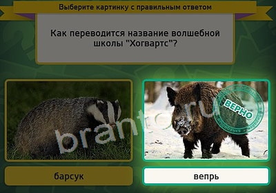 Игра Выбирайка ответы Уровень 3807