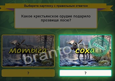 ответы на игру в одноклассниках Выбирайка Уровень 3816
