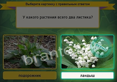 Выбирайка игра ответы в одноклассниках Уровень 3817