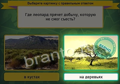 игра Выбирайка ответ на Уровень 3820