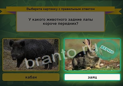 Выбирайка игра ответы Уровень 3823