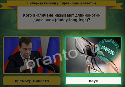 Выбирайка игра подсказки Уровень 3834