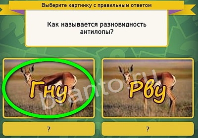 Игра Выбирайка ответы Уровень 3837