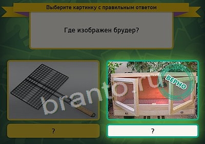 игра Выбирайка помощь Уровень 3839