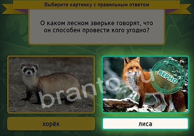 игра Выбирайка ответ на Уровень 3840