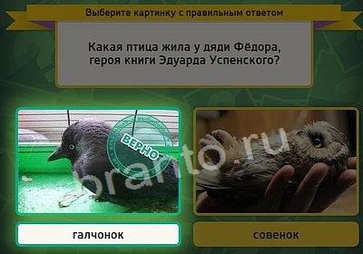 ответы на игру в одноклассниках Выбирайка Уровень 3846