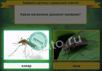 Выбирайка игра ответы Уровень 3853