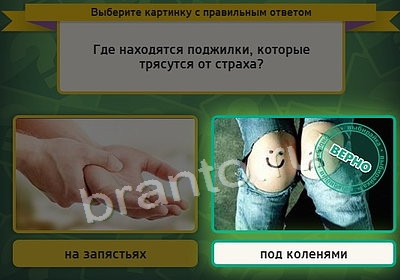 Выбирайка игра подсказки Уровень 3854