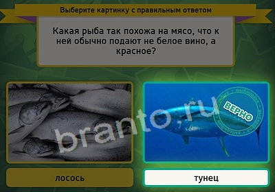 игра Выбирайка ответ на Уровень 3860