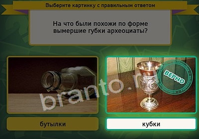 Выбирайка игра ответы Уровень 3863