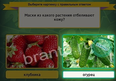 Игра Выбирайка ответы Уровень 3867